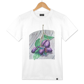 Swag plums illustration