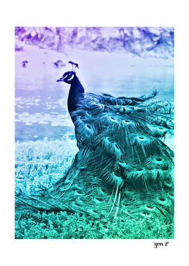 Blue Peacock by GEN Z