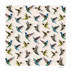Hummingbird pattern