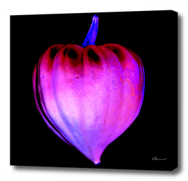 Heart-Shaped Squash - ColorNegative Edition