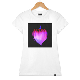 Heart-Shaped Squash - ColorNegative Edition