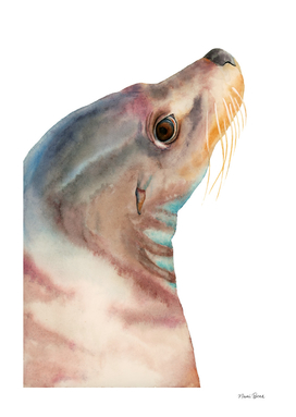 Lazy Glance - Sea Lion Watercolor Painting