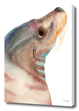 Lazy Glance - Sea Lion Watercolor Painting