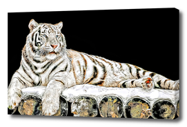 Tiger on wooden stage oil painting simulation on black