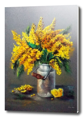 bouquet of mimosa
