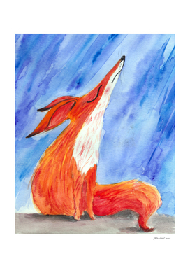 dreamy fox