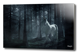 Unicorn in the Forest