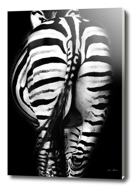 Stripes And Tails Monochrome