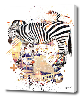 Zebra Cross by GEN Z