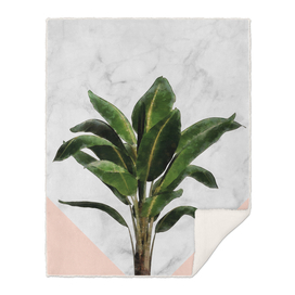 Banana Plant on Pink and Marble Wall
