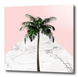 Palm on Pink and White Marble