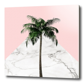 Palm on Pink and White Marble