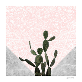 Cactus on Grey Marble with Pink Persian Mosaic Pattern