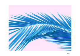 Tropical Dream - Azure and Pink