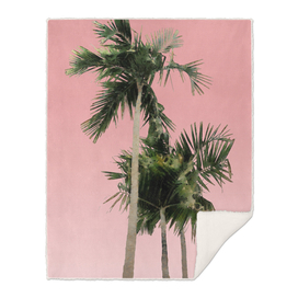 Palm Trees on Pink Wall
