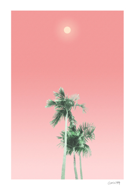 Palm Trees, Sun and Sky