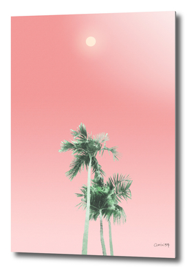 Palm Trees, Sun and Sky