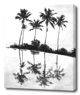 Palm Tree Reflections