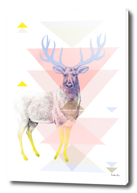 Mystical Woodland Animals: The Deer