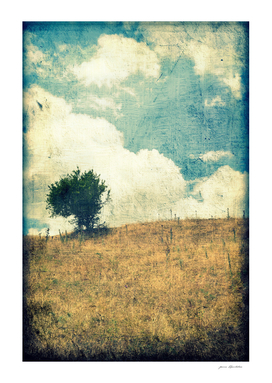 Small tree on a yellow summer hill grunge vintage landscape