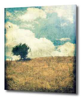 Small tree on a yellow summer hill grunge vintage landscape
