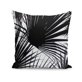 Black and White Tropical Leaves