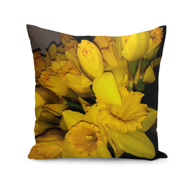 Daffodils LG04