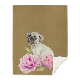 Pug and Peonies | Watercolor Illustration
