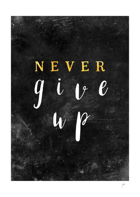 Never give up #motivationialquote