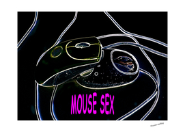 Mouse sex