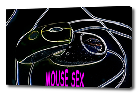 Mouse sex