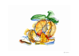 Tangerine illustration