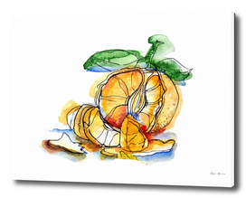 Tangerine illustration