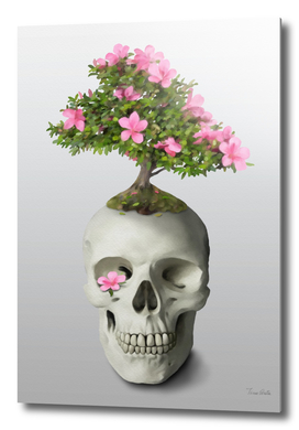 Bonsai Skull