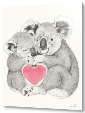 koalas love hugs