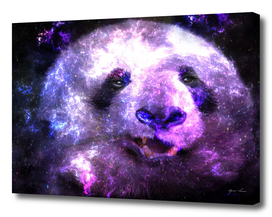 Cute Galaxy Panda Bear