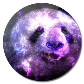 Cute Galaxy Panda Bear