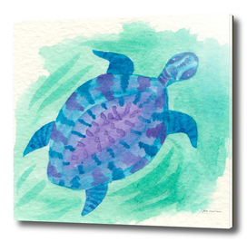blue turtle