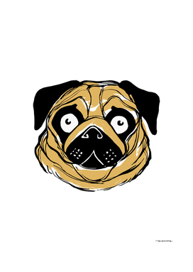 Face of a pug dog ink illustration