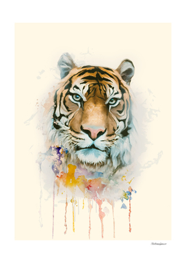 tiger colors