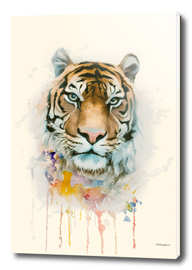 tiger colors