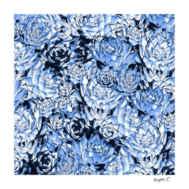 Blue Desert Echeveria Succulent Design