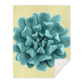 Teal Succulent Plant on Yellow Wall