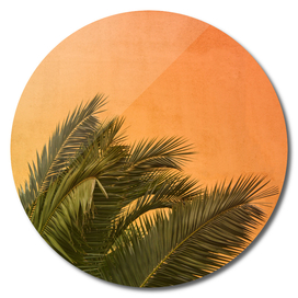 Palm Trees II