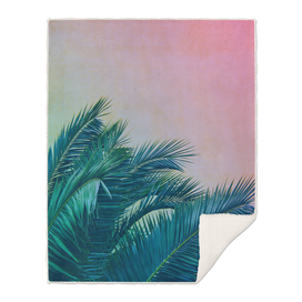 Palm Trees III