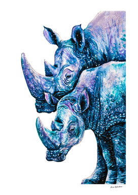 Rhinoceros Couple