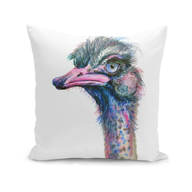 Blue-eyed Ostrich