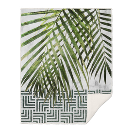 Palm Leaves on White Marble and Tiles