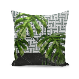 Monstera Leaves on Black Marble and Tiles