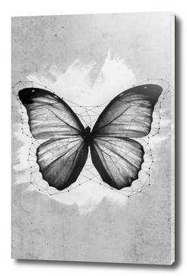 Geometric Butterfly